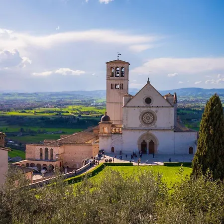 The Aethernal * Ассизи